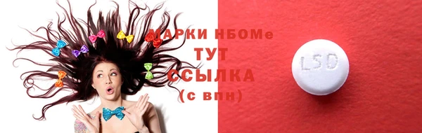 индика Баксан