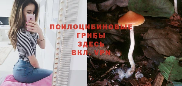 mix Аркадак