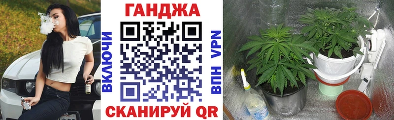 Бошки Шишки семена Белогорск
